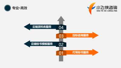 2021年北辰区标书咨询策划服务 本地专业优势，收费合理透明